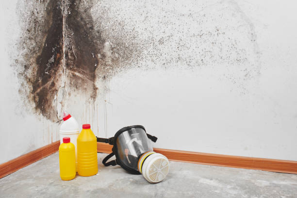 Best Crawl Space Mold Removal  in Neshanic Station, NJ