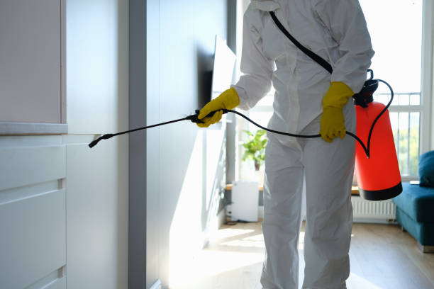 Best Best Mold Removal Companies  in Neshanic Station, NJ